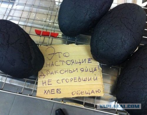Центнер Идиотизма