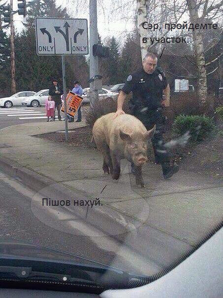 Всё это ХОЖ