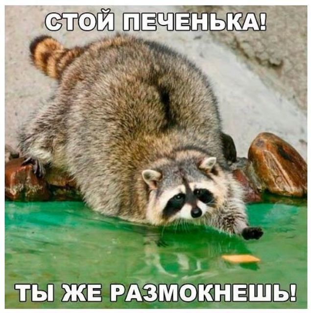 Временный пост. Всякое-разное