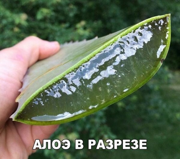 Вспомним былое. Прикольные баяны за 2017 год