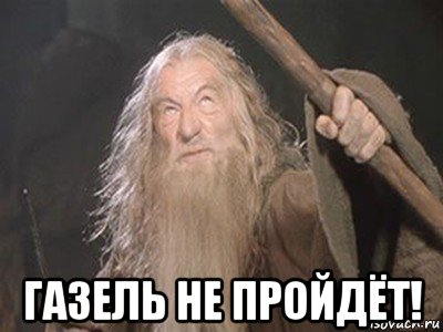 В петербургский мост с надписью «Газель» не проедет» врезалась уже 16-я «Газель»