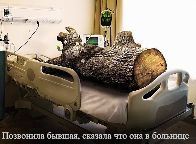 Нестандартный юмор