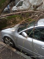В Москве из-за шторма пострадали 12 человек