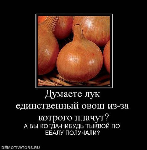 Немного картинок в этот четверг