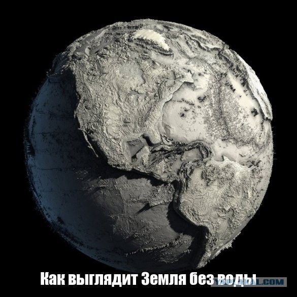 Прикольные картинки абавсём