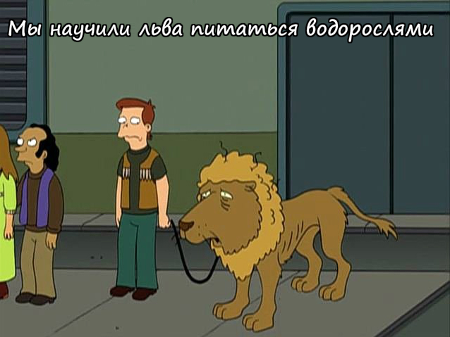 В Британии владельцев котов-вегетарианцев могут привлечь к ответственности