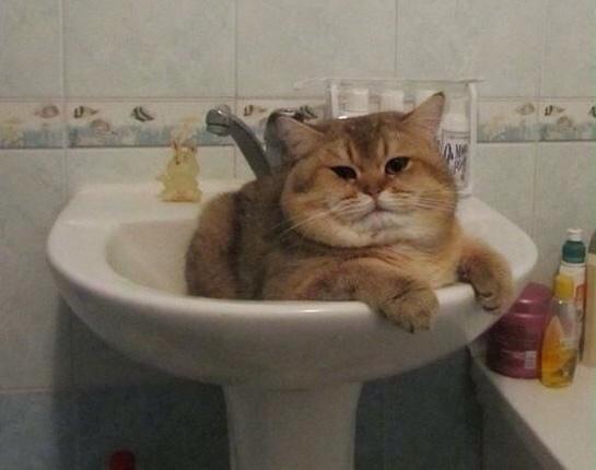 Немного милоты