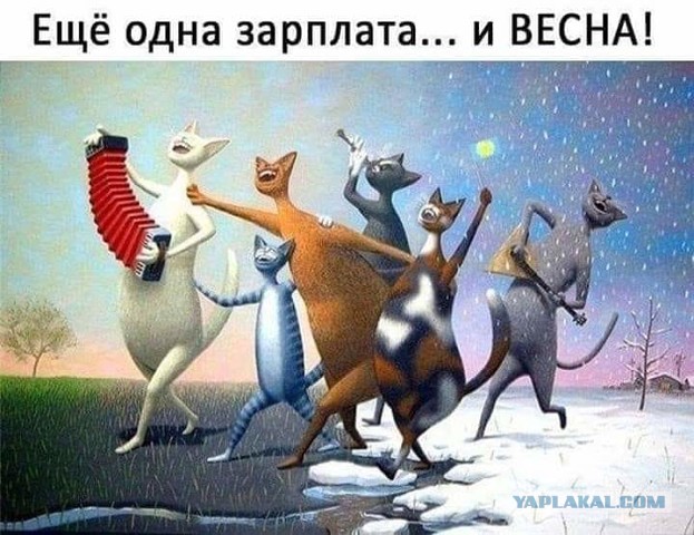 Еще одна большая подборка картинок