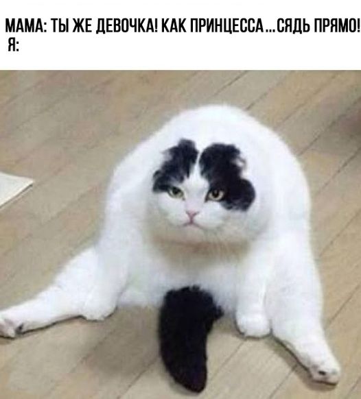 S-котство