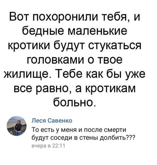 Прикольные комментарии и высказывания из Сети