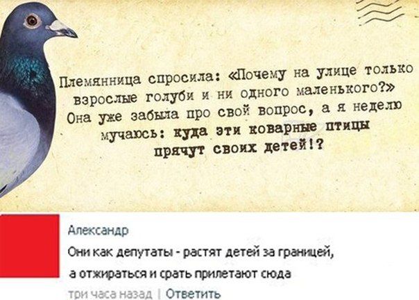 Чуток картинок. 25.01.20