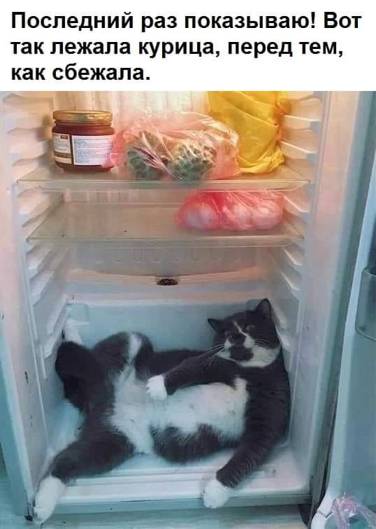 Сегодня пятница, а это значит...