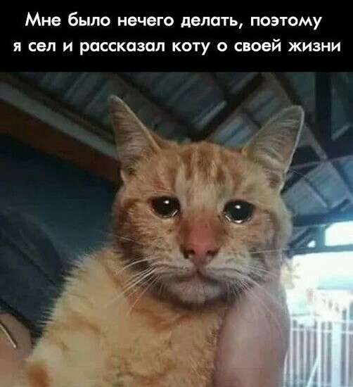Как страшно жить