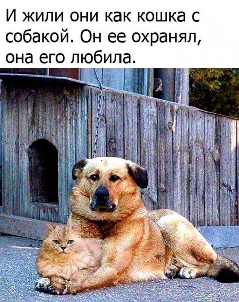 Чуток картинок 22.06.20