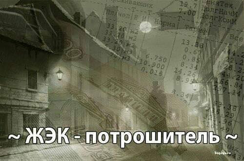 Фотки и картинки: юморные и красивые, забавные и милые 03.10.20