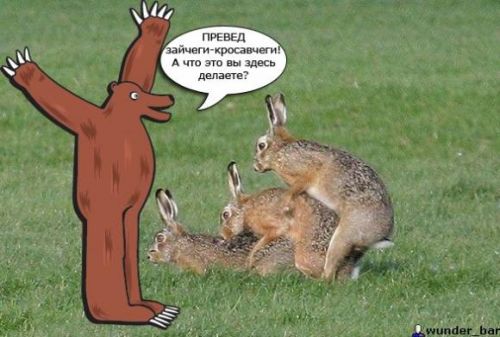 Медвежий уголок