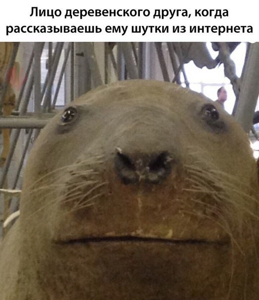 Кретинизмы в понедельник 04.01.21