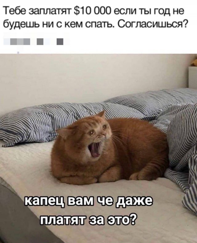 Картинки и мемы для настроения 023