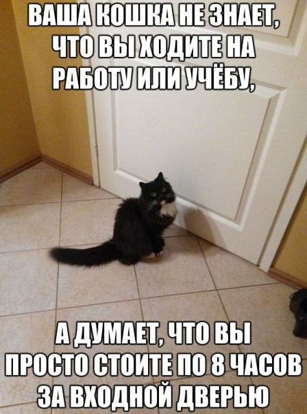 А вы своим говорите?