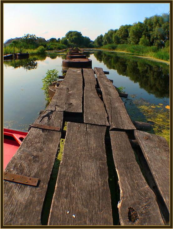 Фото(Просто) ,тема -просто.