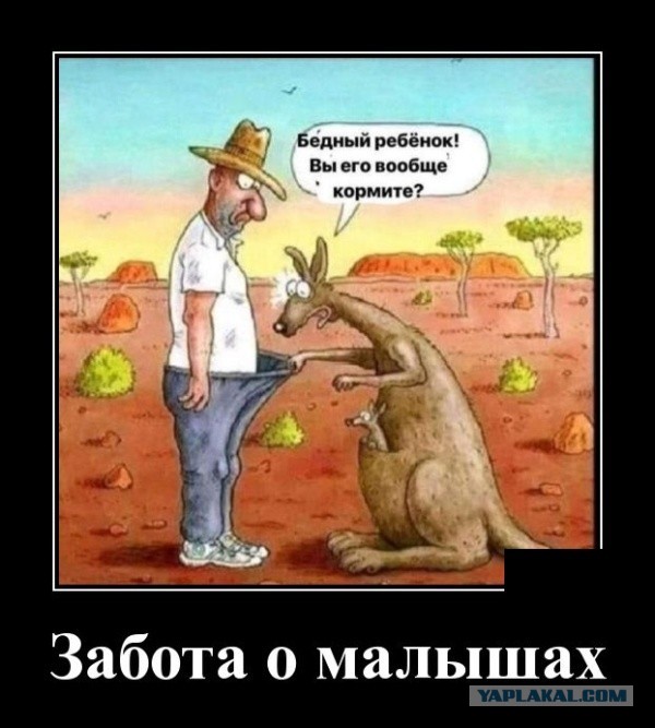 Картинки и мемы для настроения 029