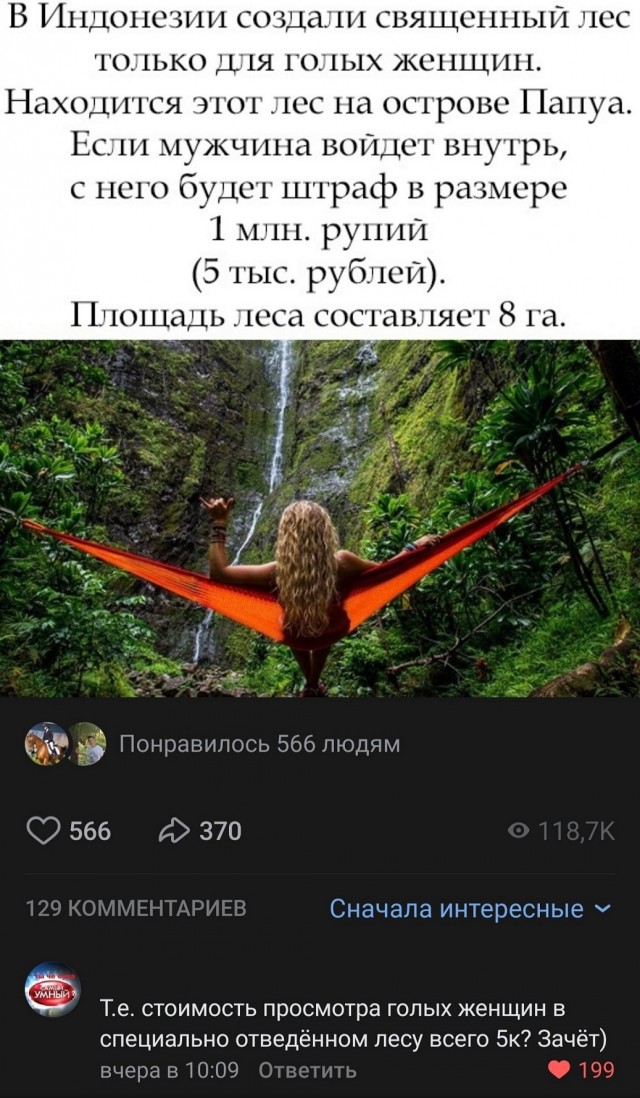 Весёлый полтишок 10.08