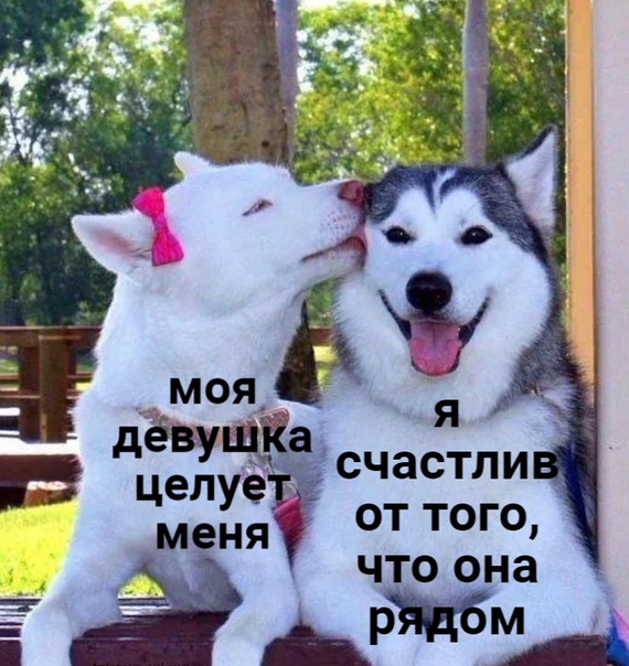 Картинки и мемы для настроения 27.01.2022