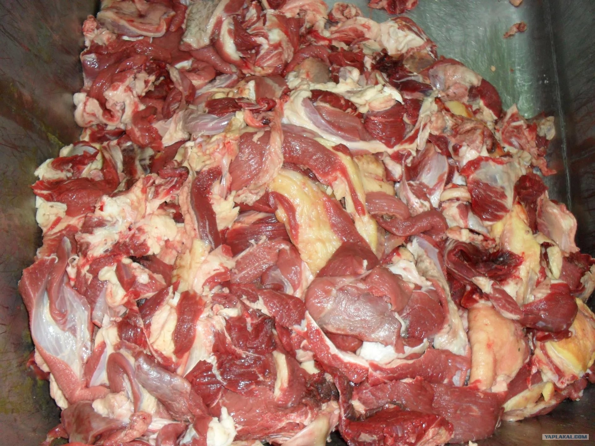 Купить Говядину 2 Сорт