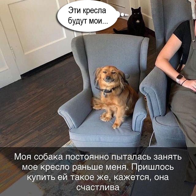 40 картинок разных 17.02.2022
