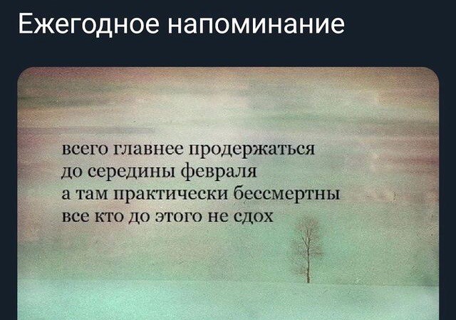 Весёлый полтишок 18.02