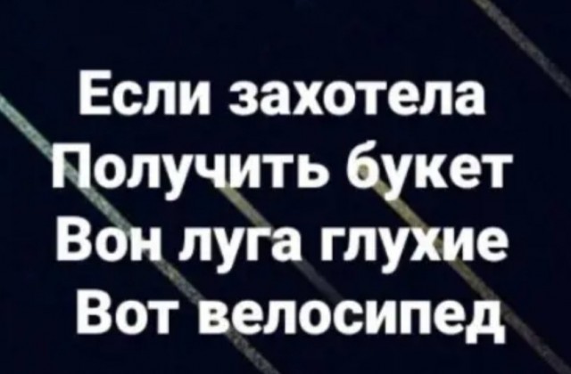 Забавные и веселые картинки