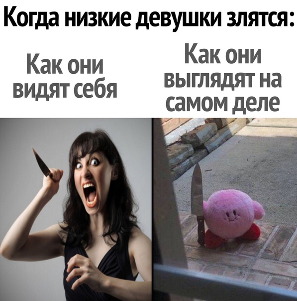 Картинки и мемы - "Жить, как говорится, хорошо..."