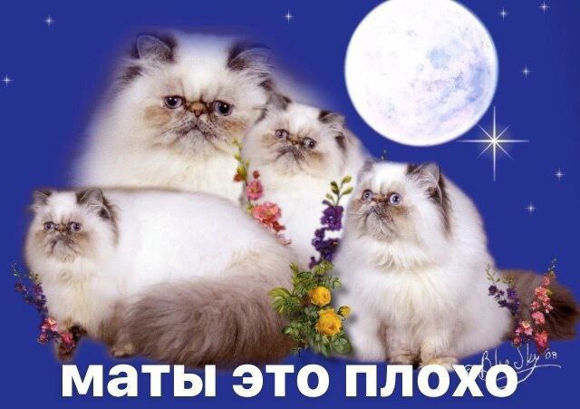 Мат в общественном месте - как долго Вы готовы смиряться?
