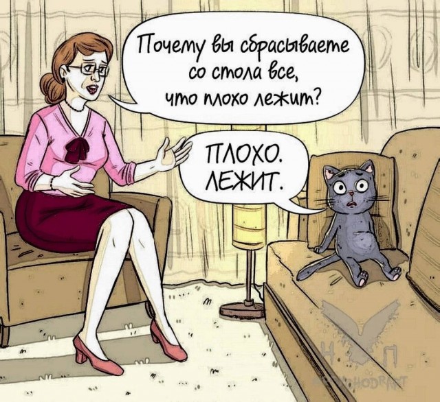 Картинки и мемы, всем хороших выходных