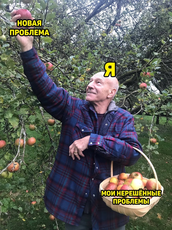 Немного картинок для настроения - 161