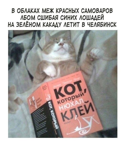 С кем быть? Или не быть? Вот в чём вопрос