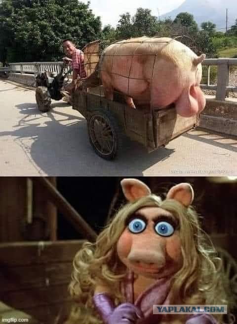 Cмешно