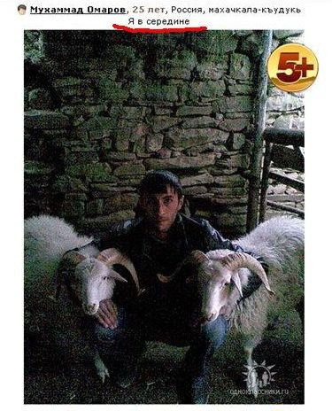 Картинки из Дристоля - 3