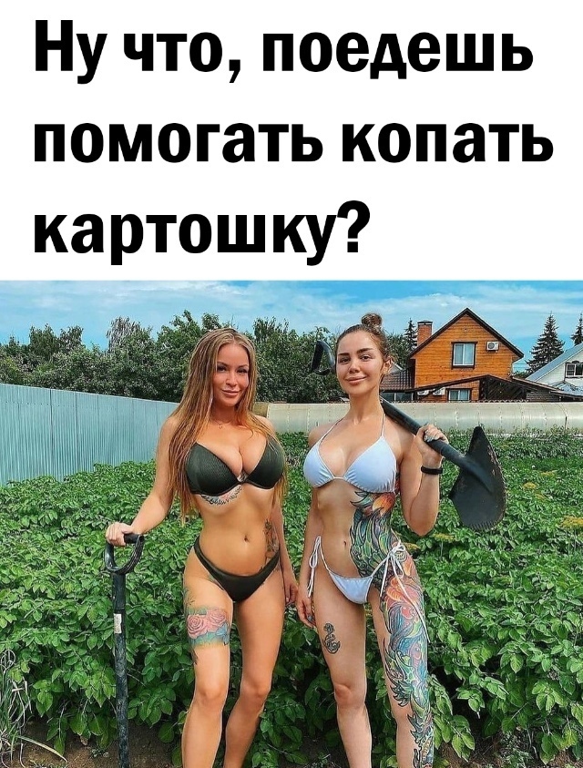 Так себе картинки 31.03.24
