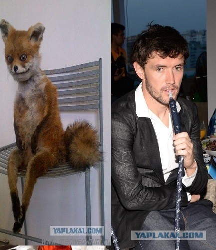 Жирков  с детьми курит кальян!