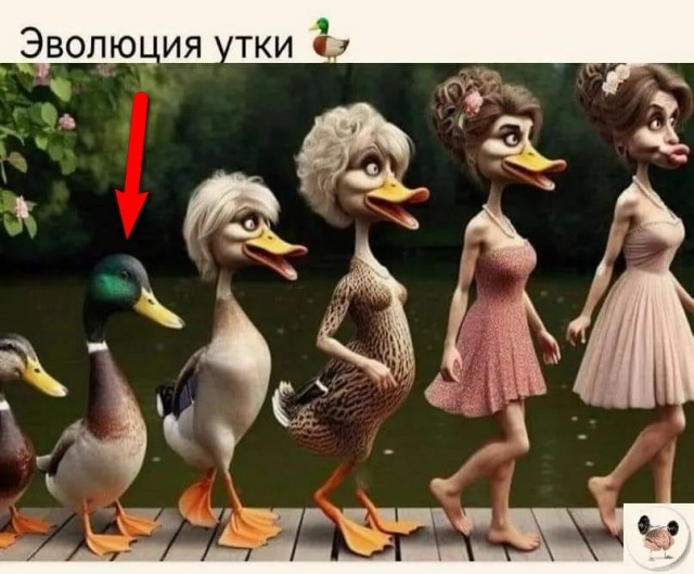 Завалялось тут случайно немного забавных картинок