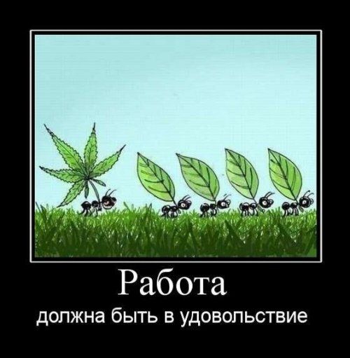 Прикольные и просто красивые картинки 28.06.2024