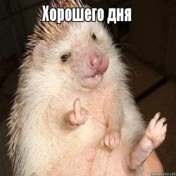 Дратути