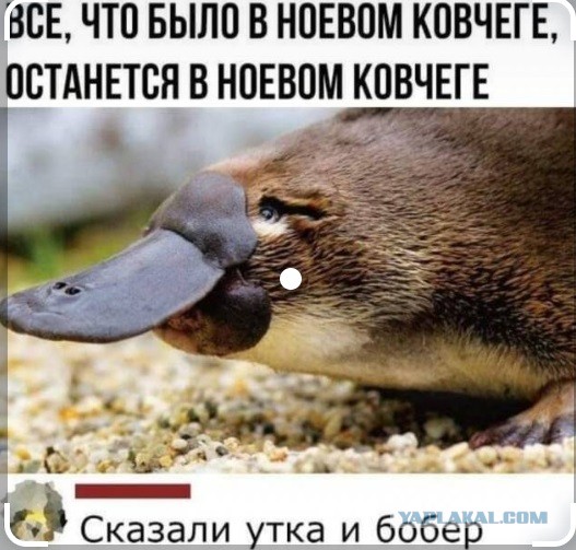 От тюрьмы и от сумы-2(новый дом)