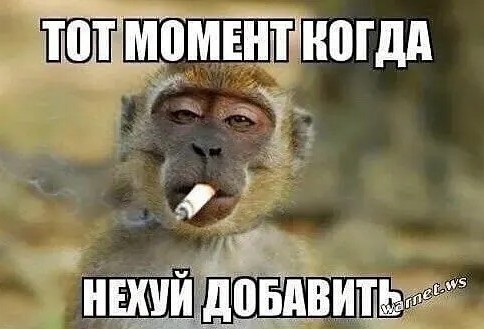 Давайте опубликуем