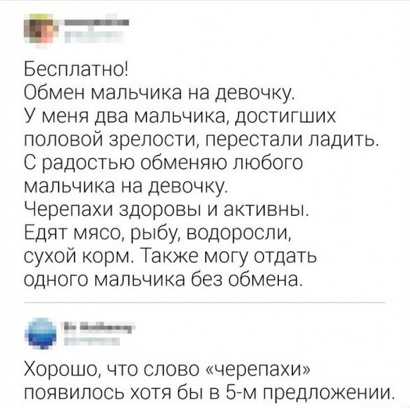 Весёлый полтишок 23.01.25