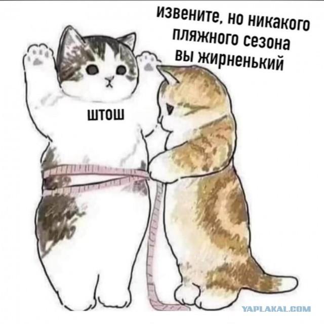 От Оземпика СЛЕПНУТ всё больше американцев — такой пугающий побочный эффект обнаружили у популярного препарата