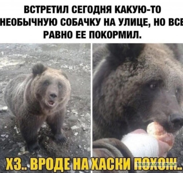 Завалялось тут случайно немного забавных картинок