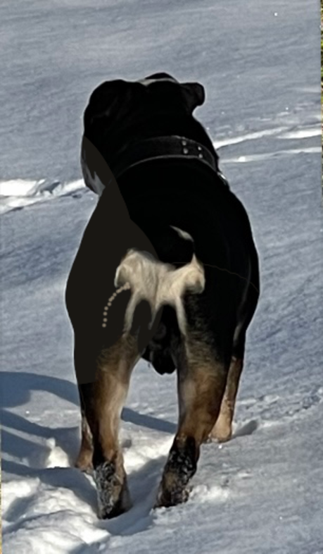 Литературная беседка v.1