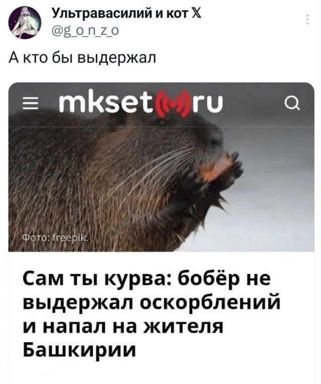 Падонги, кину чуть картинок. 10 штук